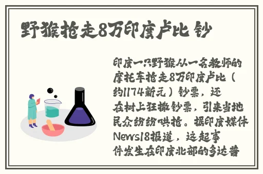 粉色视频APP在线无限看免费丝瓜晶体公司
